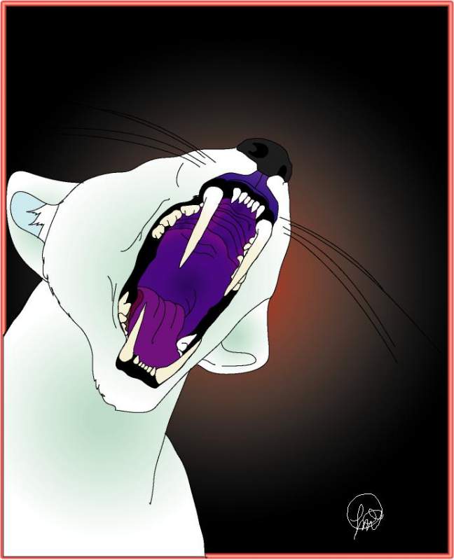 me as a 'cat' im a bit like a panther slash someth