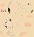 Lucy 