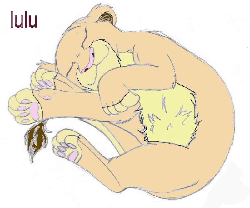lulu sleeping 