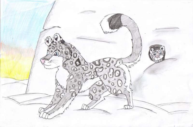 snowleopard