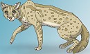 random serval