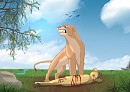 nala's discovery