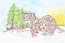 wild tiger