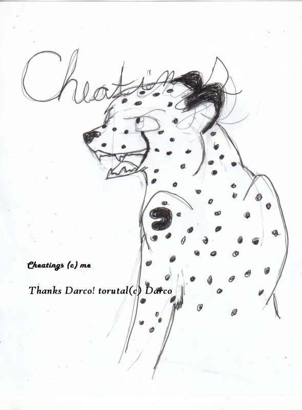 Cheatings