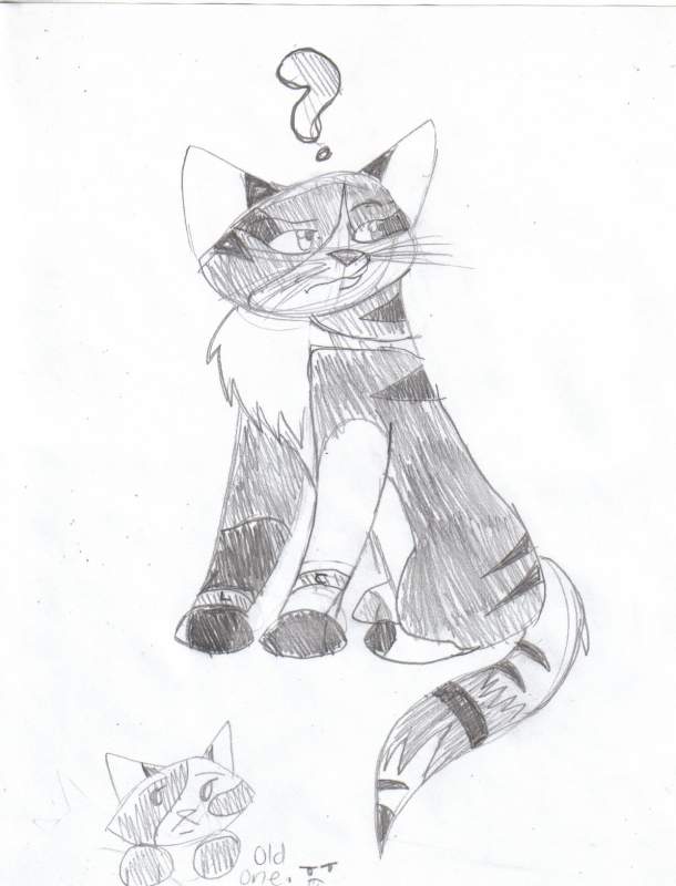 Kittish Sketch