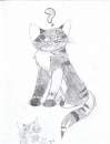 Kittish Sketch