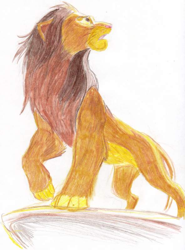 Simba