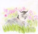 Tigra in the Garden