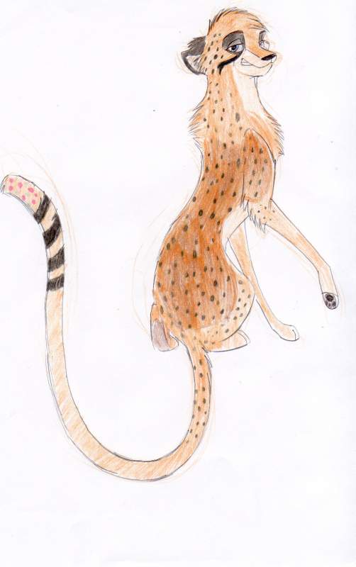 my Cheetah Fursona