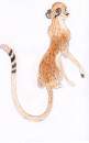 my Cheetah Fursona