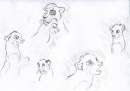 doodle crap 