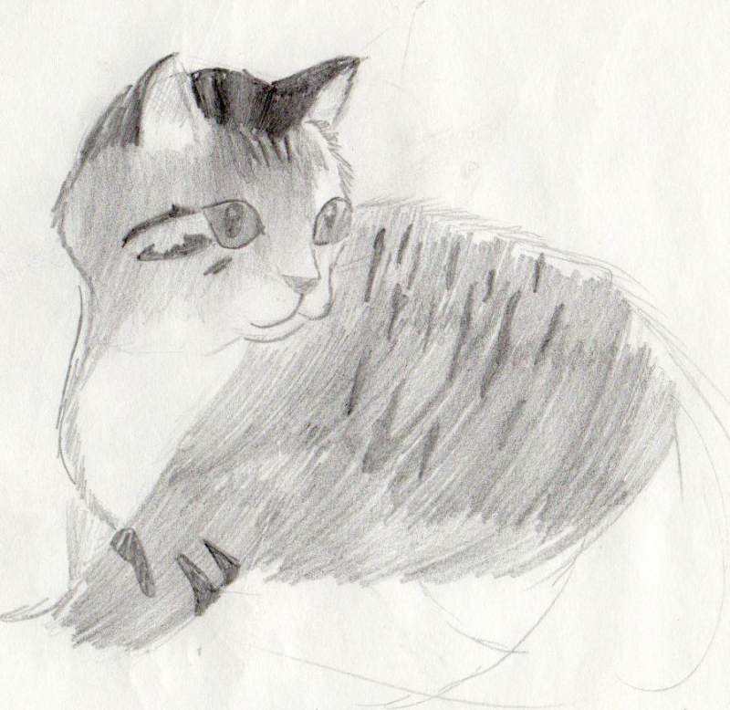 Old kitty sketch