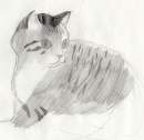 Old kitty sketch