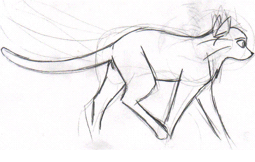 animation test