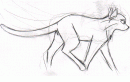 animation test