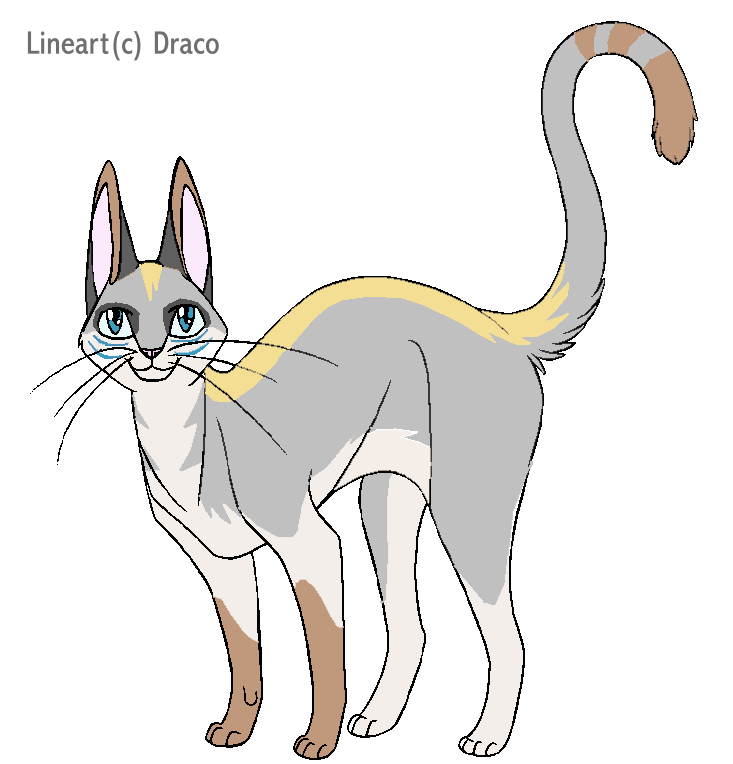 Draco's lineart