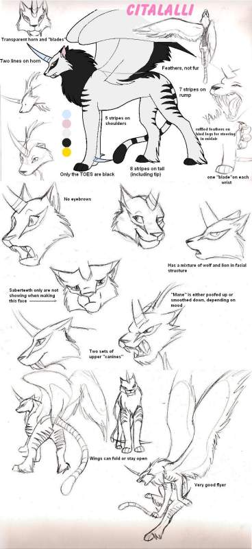 Cita reference sheet