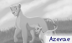 Azerae