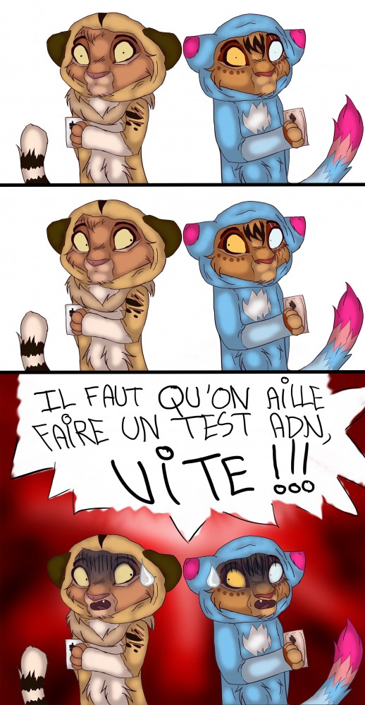 Trop de ressemblances ?- BD Queen et Kami (FIN)