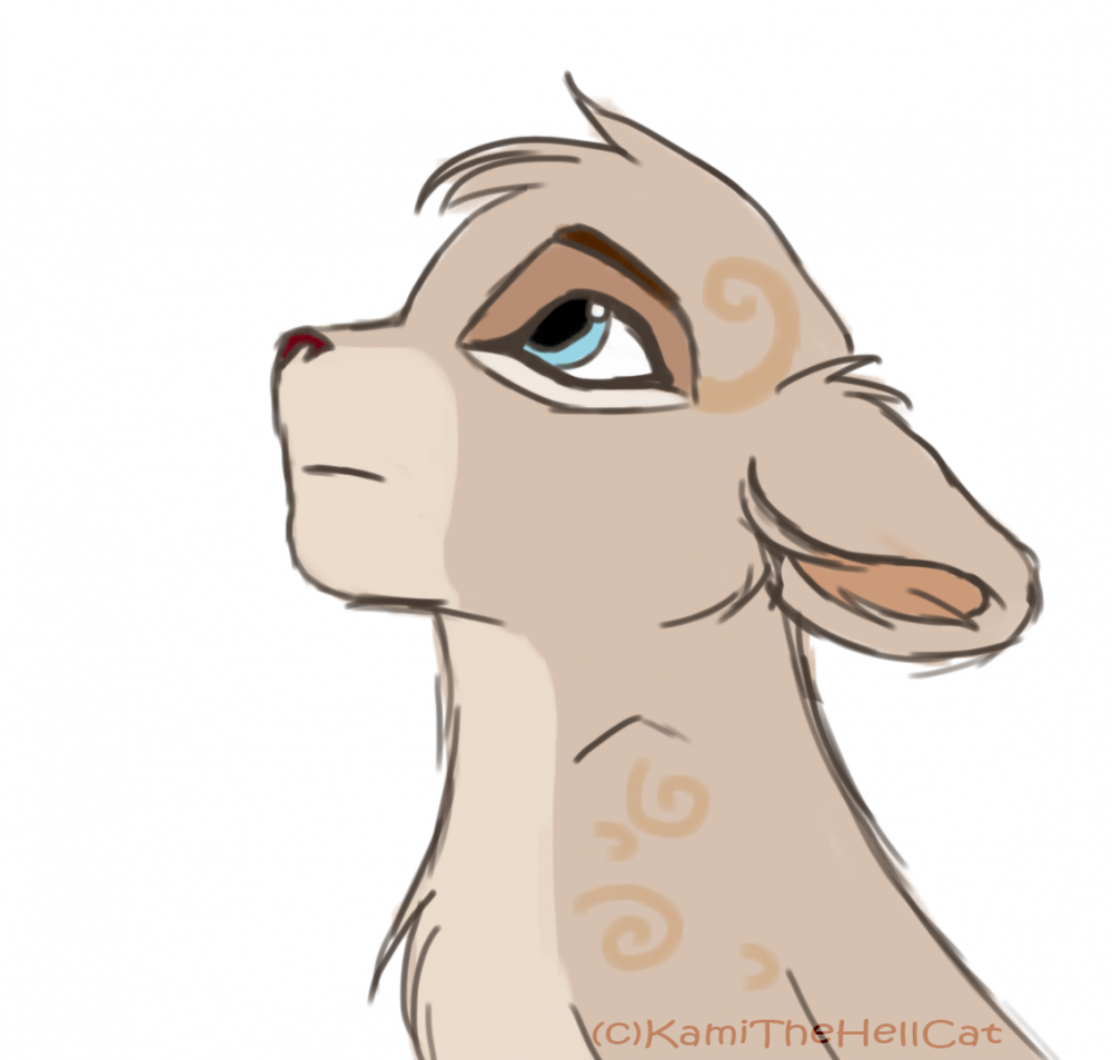 Héra (TEST)