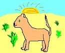 lion