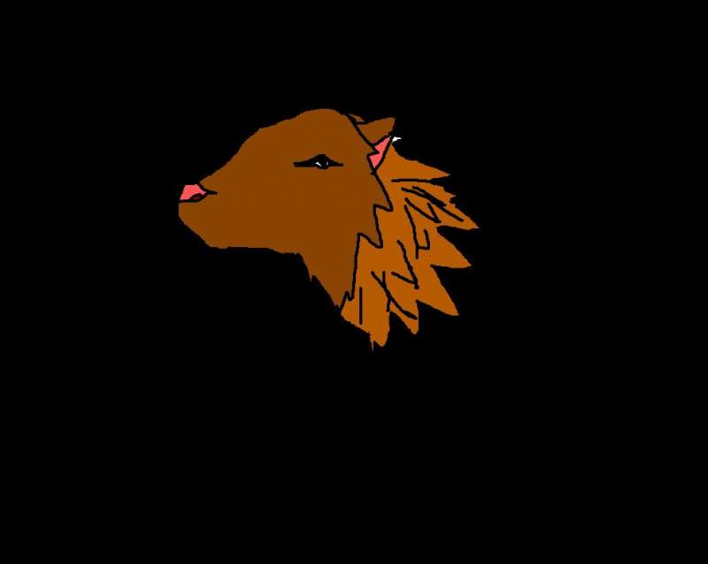 my first lion