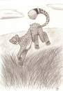 A Cheetah
