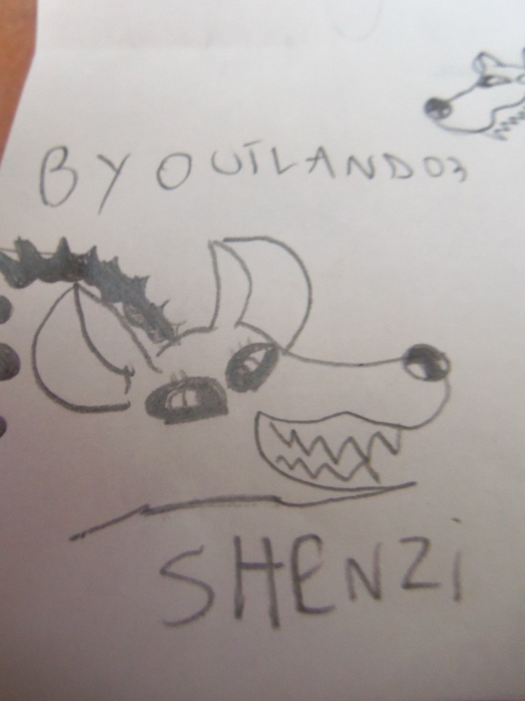 Shenzi dessin