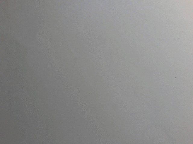 Animation | Ahadi and Uru's hug | 