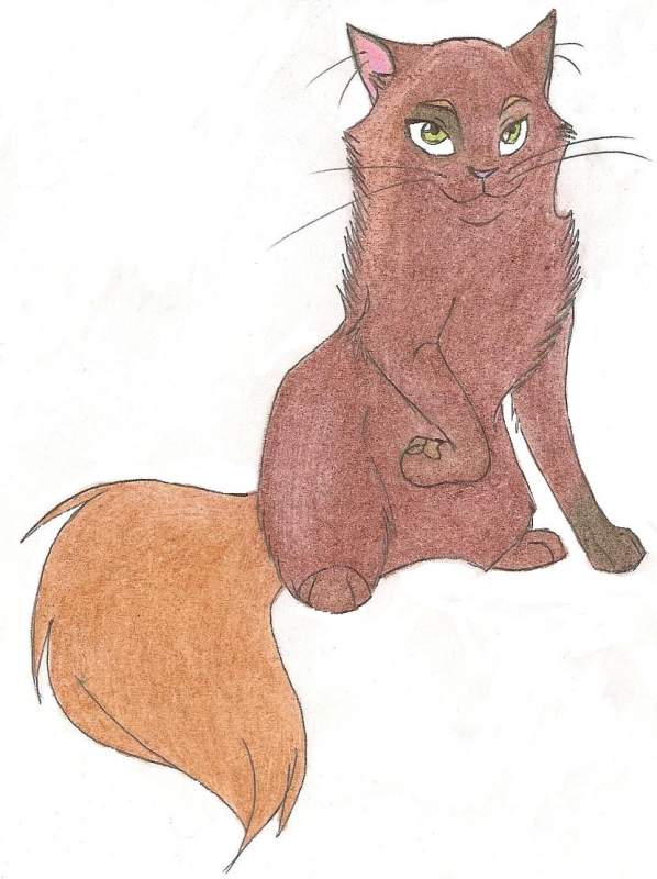 Me as a cat - new look