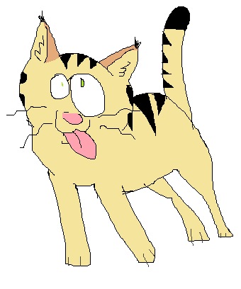 Kat