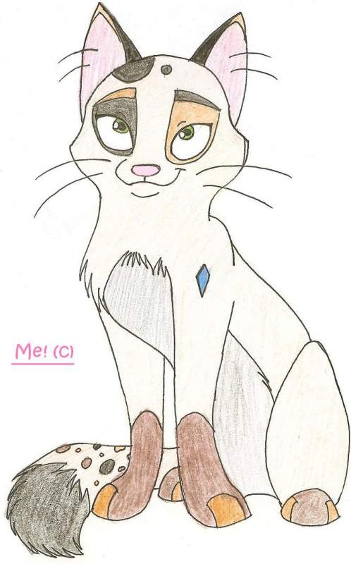 Me as a cat