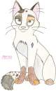 Me as a cat