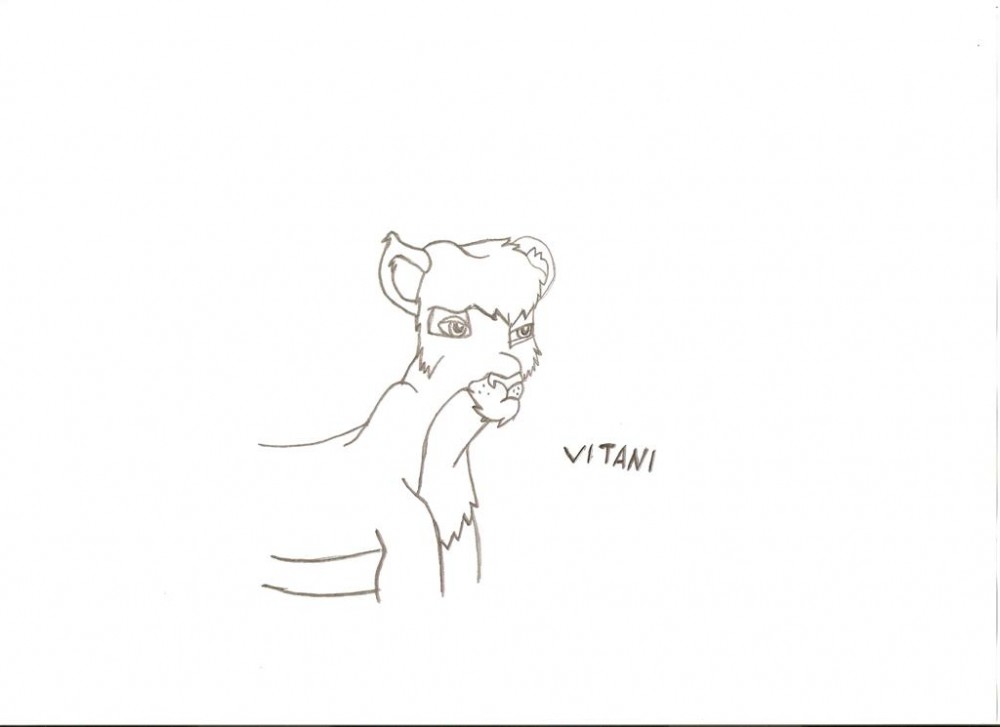 Vitani!