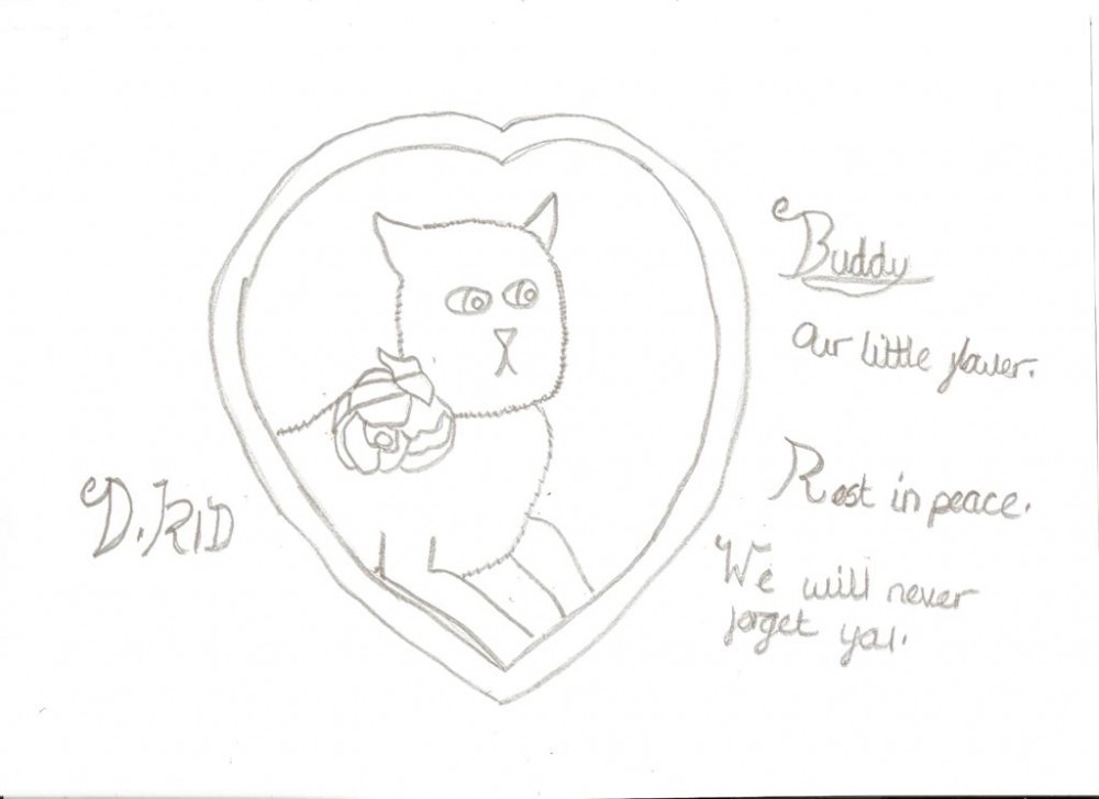 In memory of Buddy.