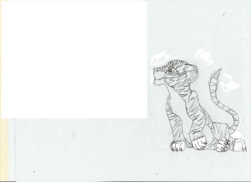 my tiger kimi