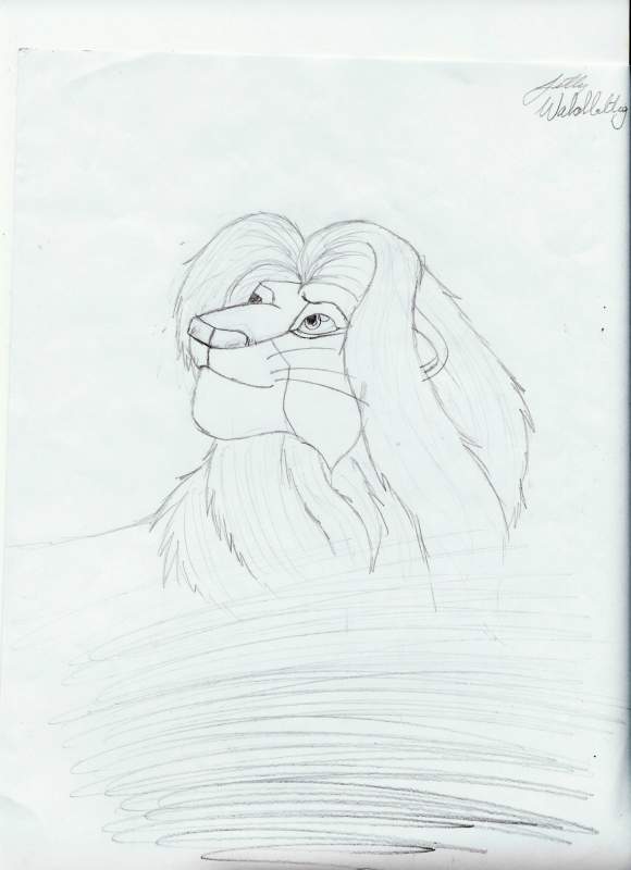 simba
