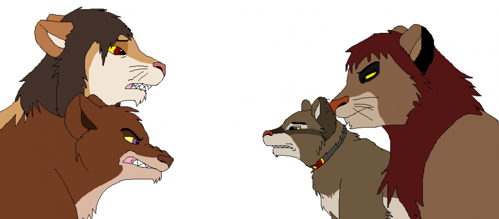 Confrontation
