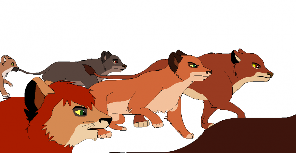 The Wanderers