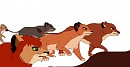 The Wanderers