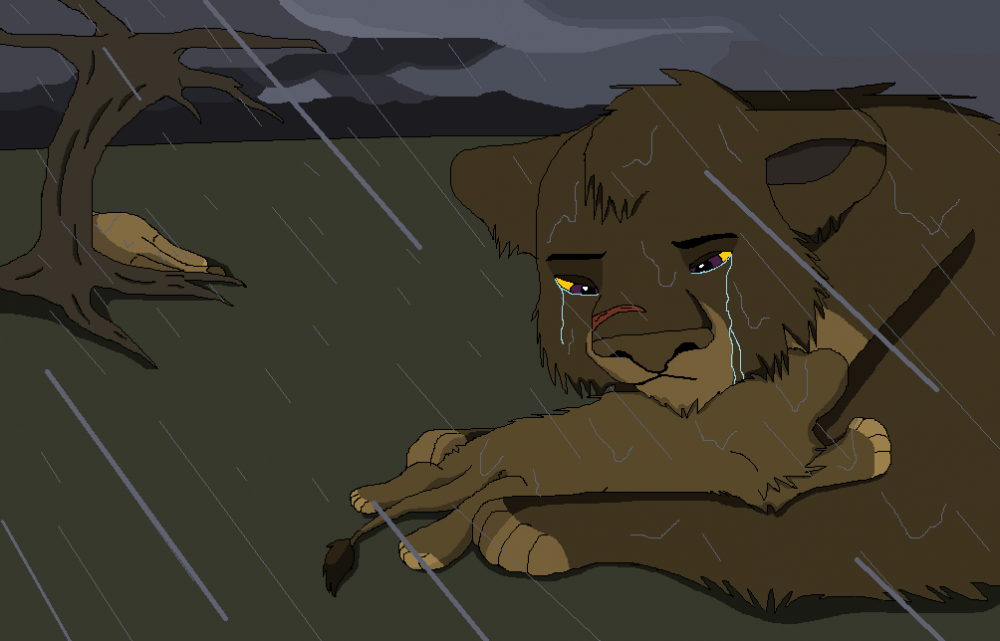 Rain