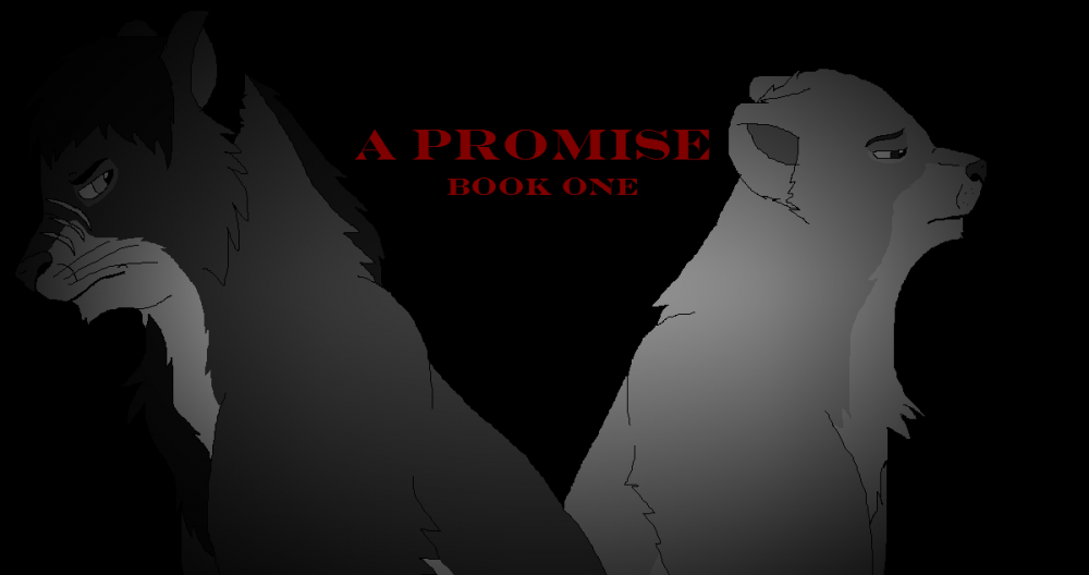 Book One: A Promise -Cover-
