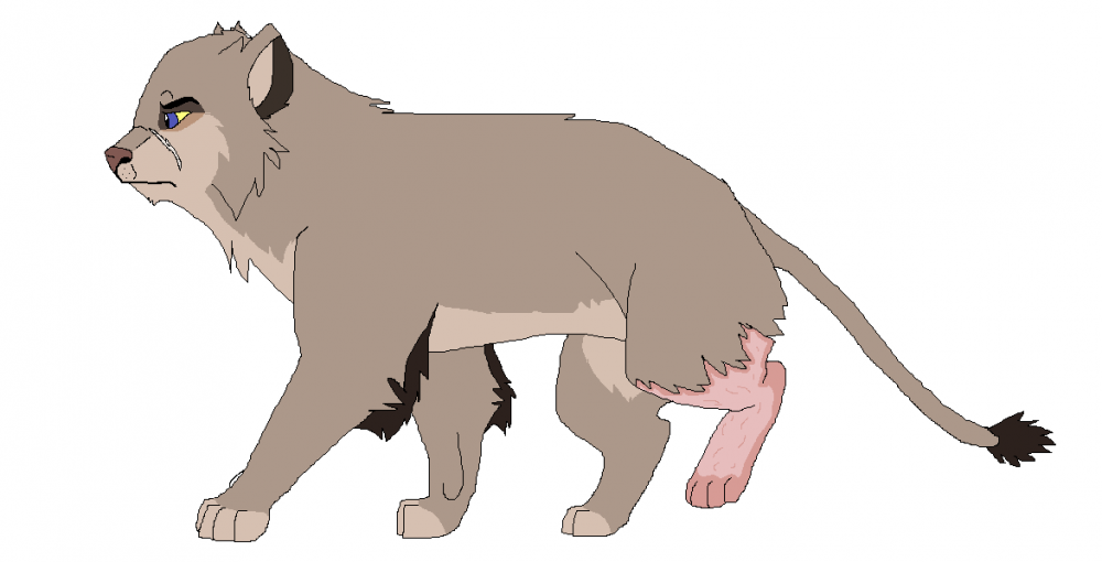 Shadowland Lioness 