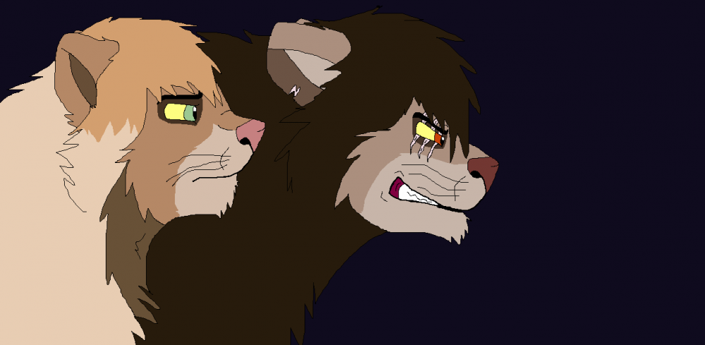 Some Blah Blah