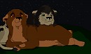 Starwatching [Art Trade w/ MiniCat]