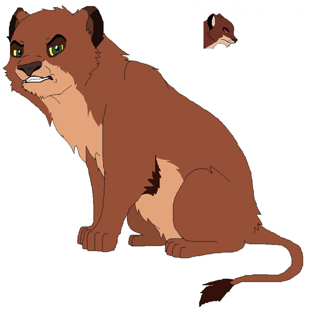 Gbemisola -Redesign-