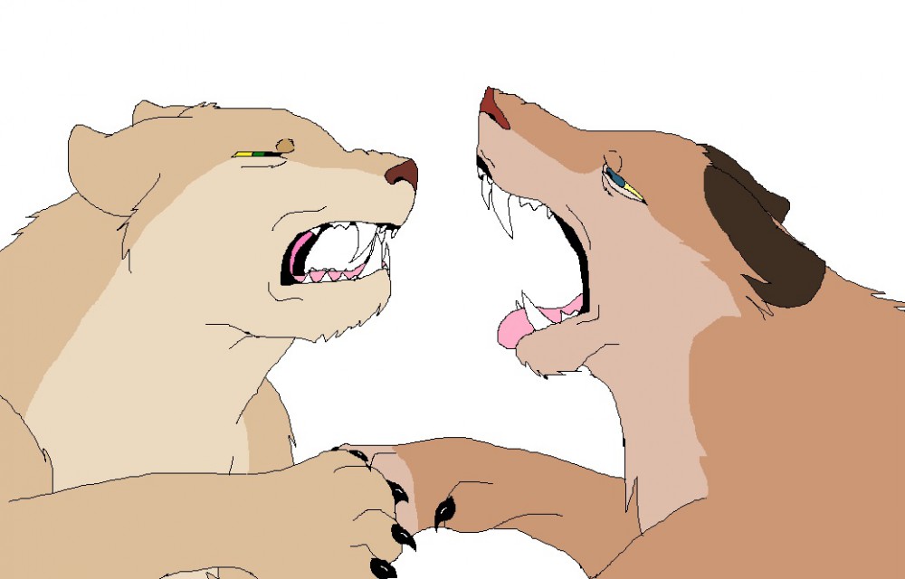 I'll Fight You Sister!