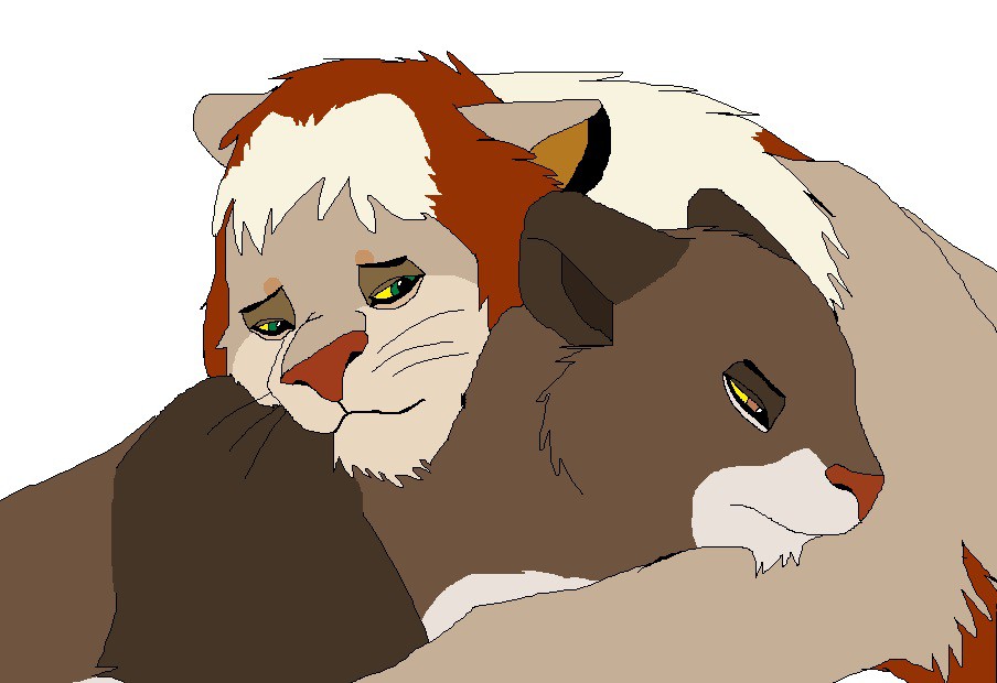 Comfort