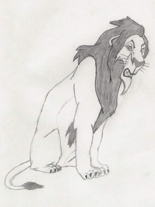 Scar