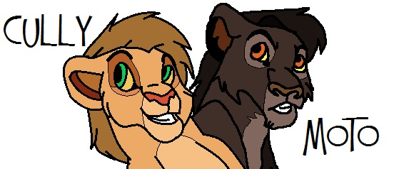 Moto and Redesigned Cully